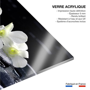 Tableau zen deco design orchidée blanche Tableau plexiglas
