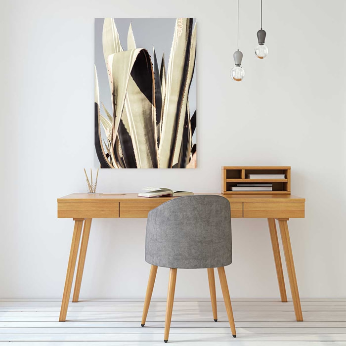 Tableau cactus mexicain Tableau plexiglas