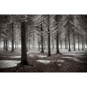 Tableau deco debut d'hiver Tableau alu Dibond