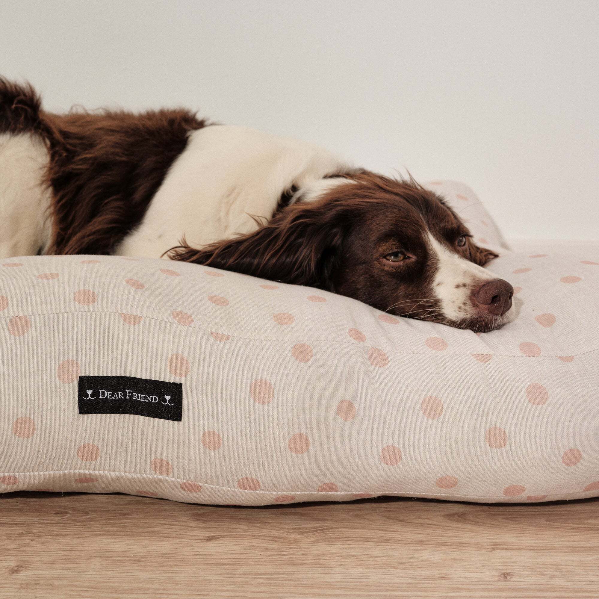 Lit épais et rembourré pour chiens et chats, 100 % coton anti-taches, pour animaux 0120-178