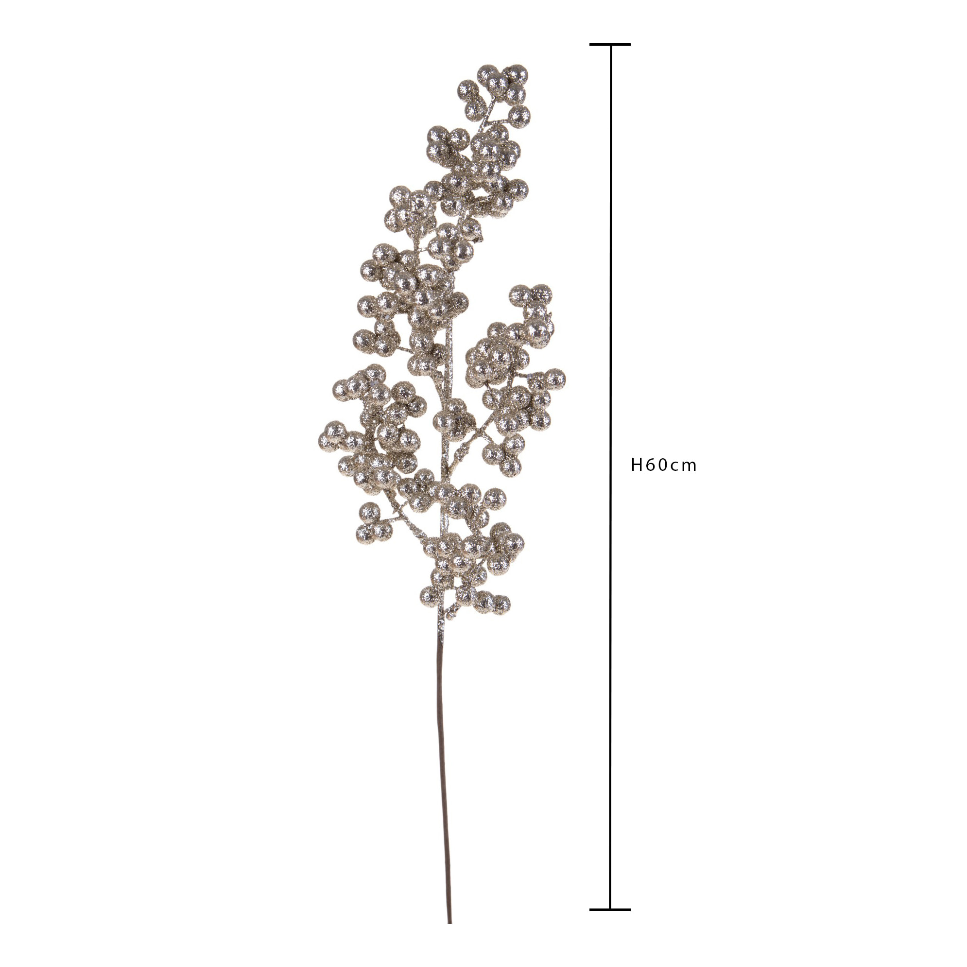 Ramo ilex - Pezzi 12 - ORO - Bianchi Dino SpA