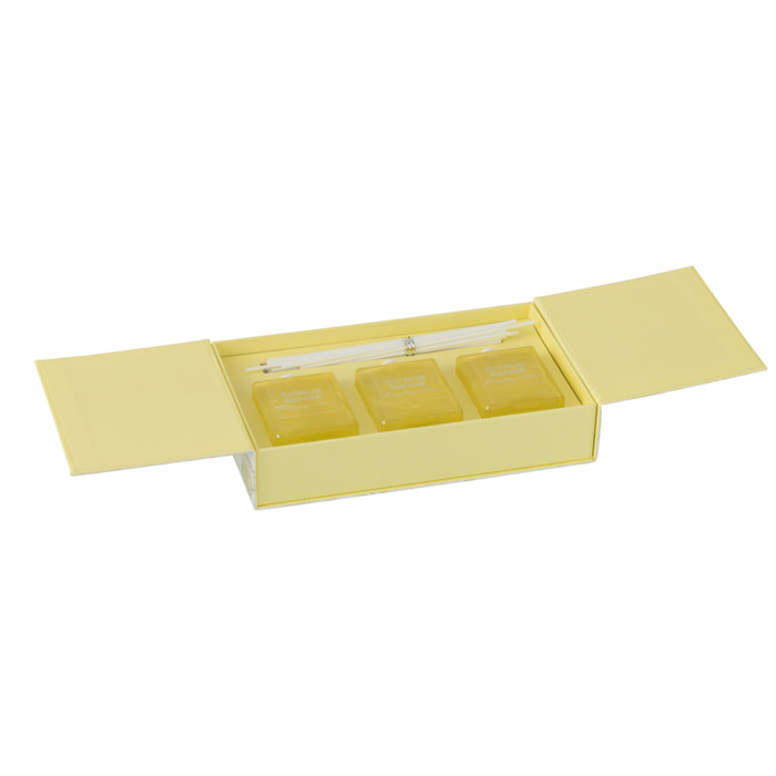 J-Line huile parfumée + bâtons Citrus Sense - Energizing Citrus - verre - jaune - boîte de 3