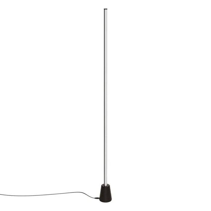 Tube néon secteur Oge noir H135,5cm