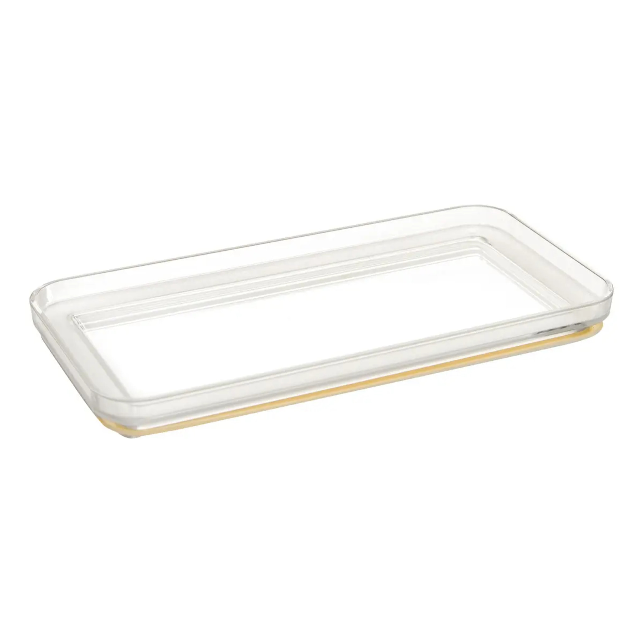 Boîte de conservation rectangulaire Eske 4L transparent