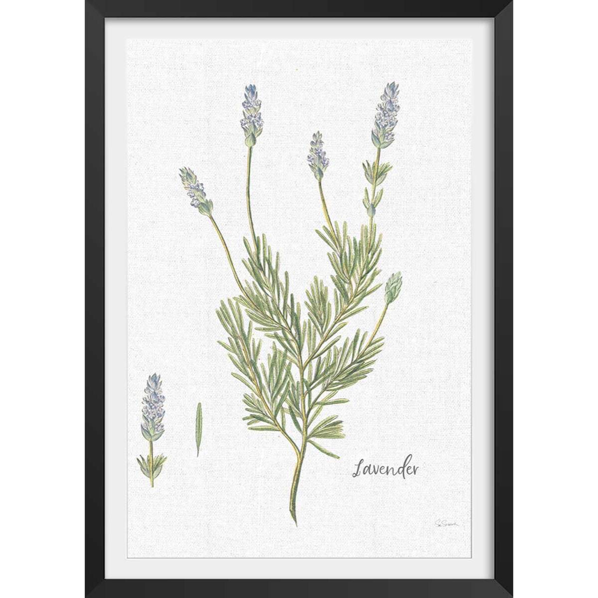 Affiche fleurs Lavande illustrée Affiche + cadre en bois - Noir