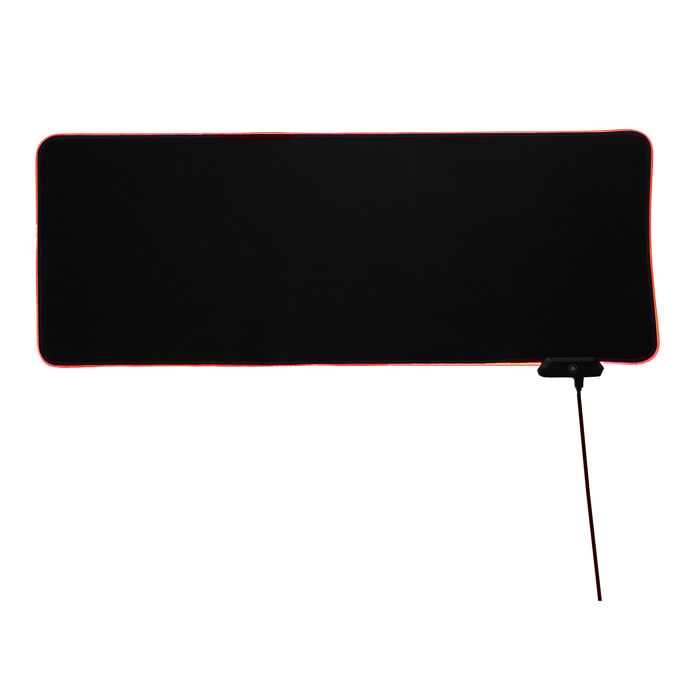 TAPIS DE SOURIS GAMER XL RGB 2 PORTS USB