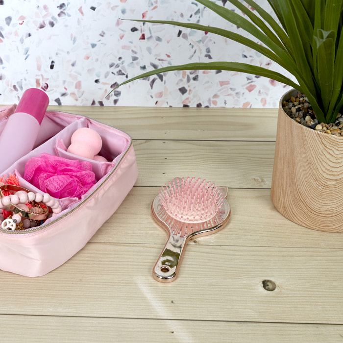 BROSSE A CHEVEUX CHAT