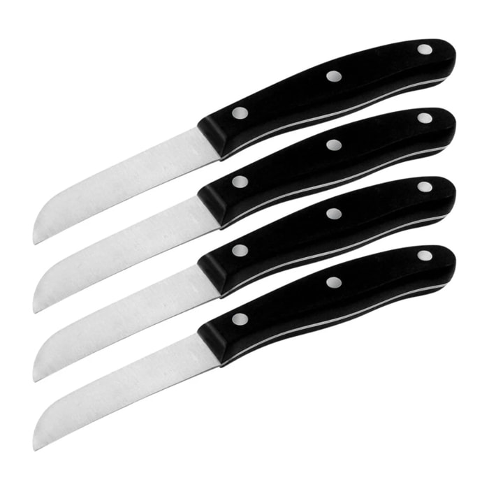 Set de 4 couteaux de cuisine 20 cm en inox Nirosta Fit
