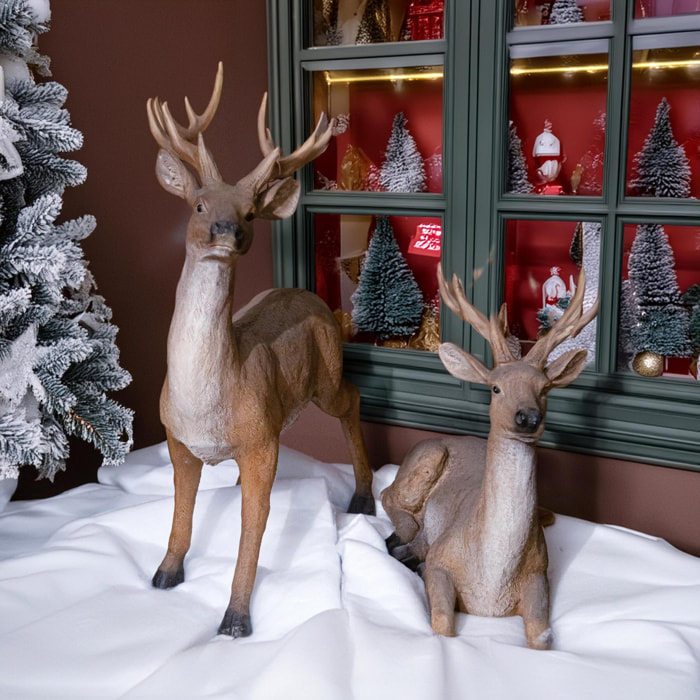 Telo neve - Pezzi 2 - 36xH185x0,5cm - Bianchi Dino SpA