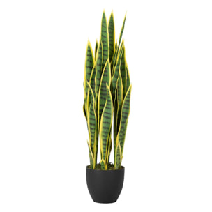 Planta Sansewieria Trifasciata 25x25x85 Cm