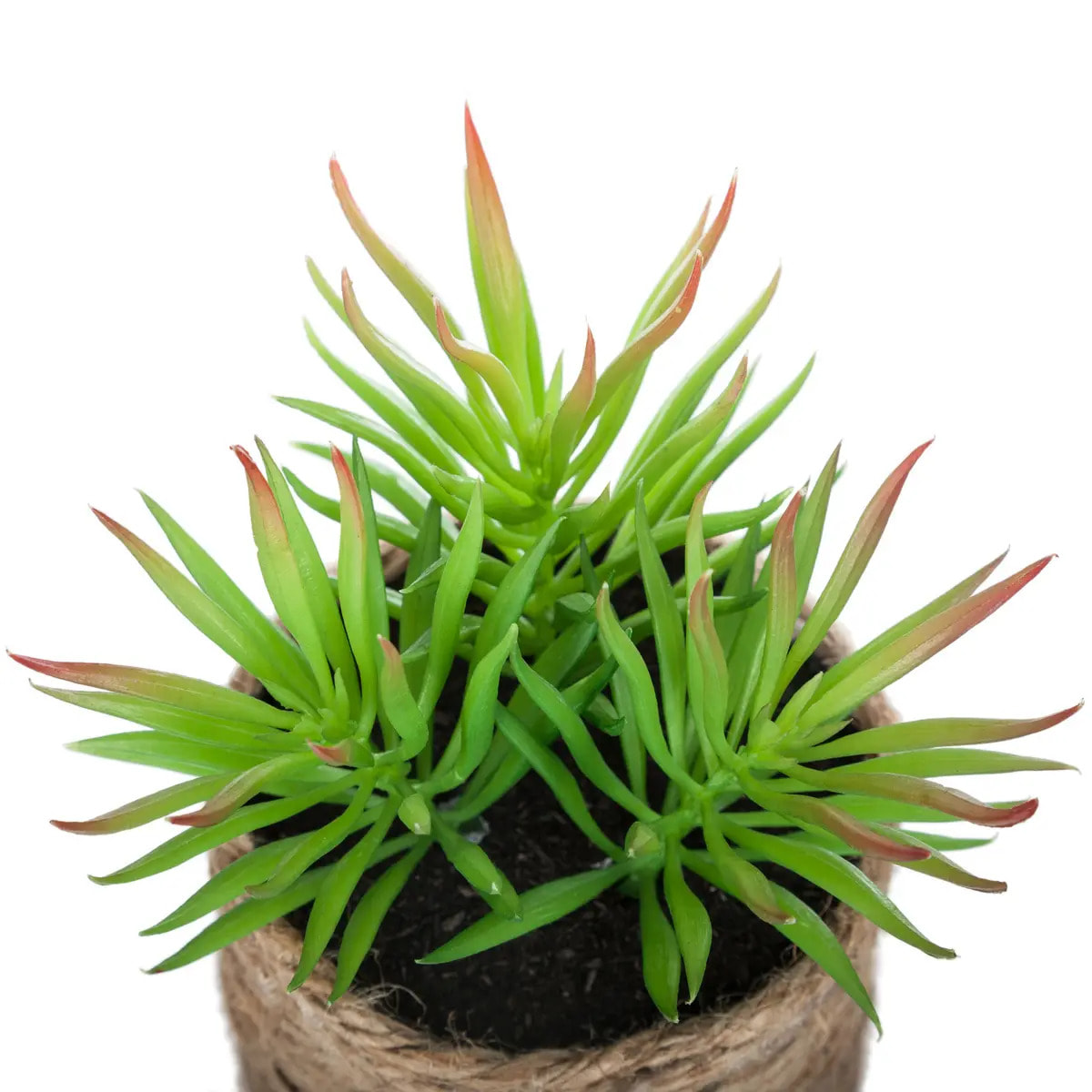 Plante artificielle H16cm