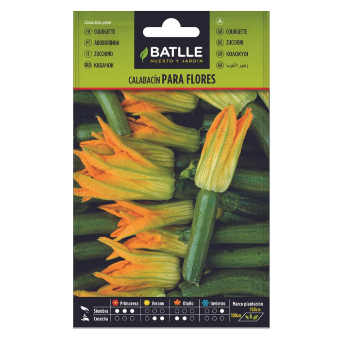 Semillas de Calabacín para flores Batlle