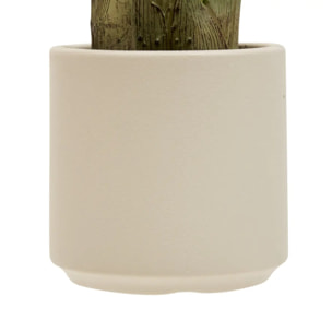 Bananier Artificielle Lora H140 cm avec Pot Blanc