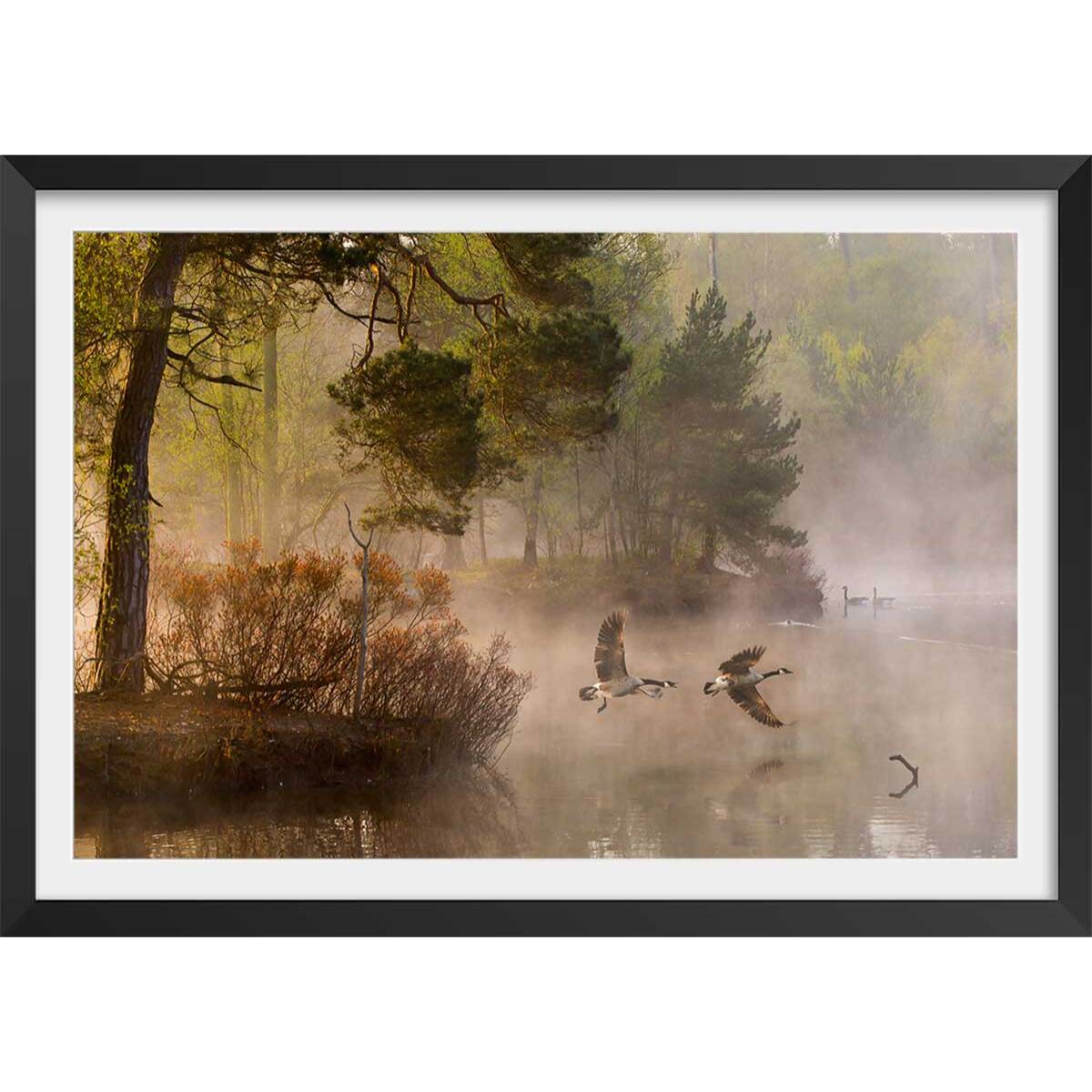 Affiche paysage oies sauvages Affiche + cadre en bois - Noir