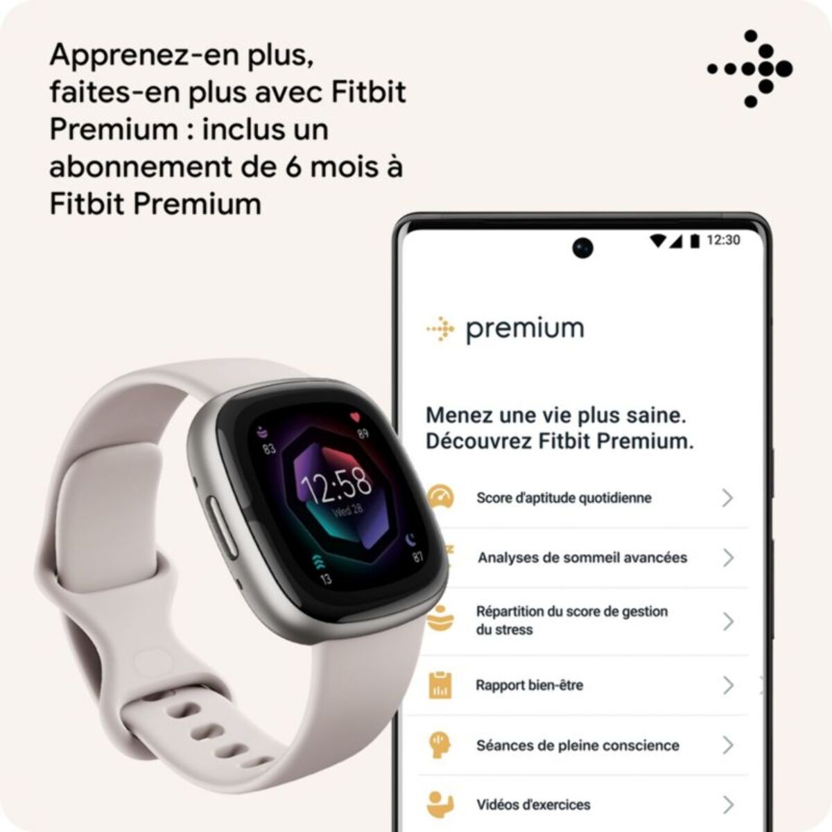 Montre santé FITBIT Sense 2 Aluminium Platine et Blanc