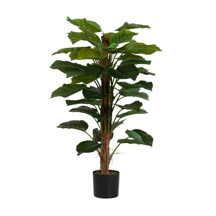 Planta Artificial Rhadhidophora Aureum 65x65x140 Cm