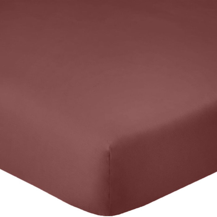 Drap Housse - Bonnet 25cm 100% Coton 57fils/cm2 Tommette