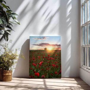 Tableau champs de coquelicots Suede en fleurs Toile imprimée