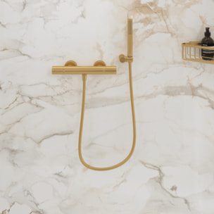 Flexible de douche Universal 120 cm Or brossé