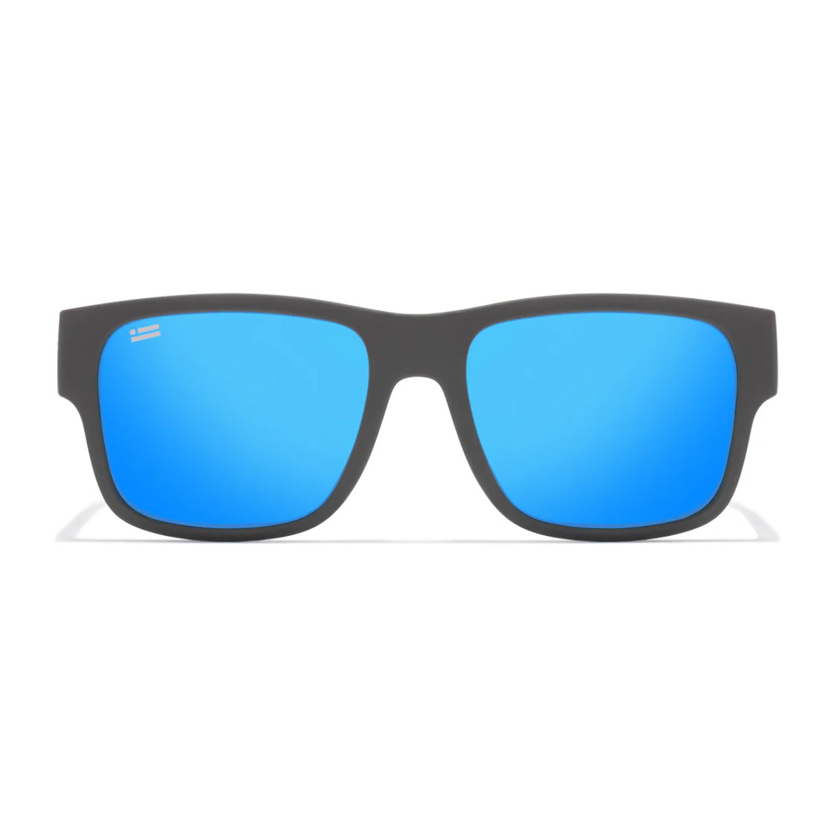 Gafas de Sol California Grey / Blue Revo D.Franklin