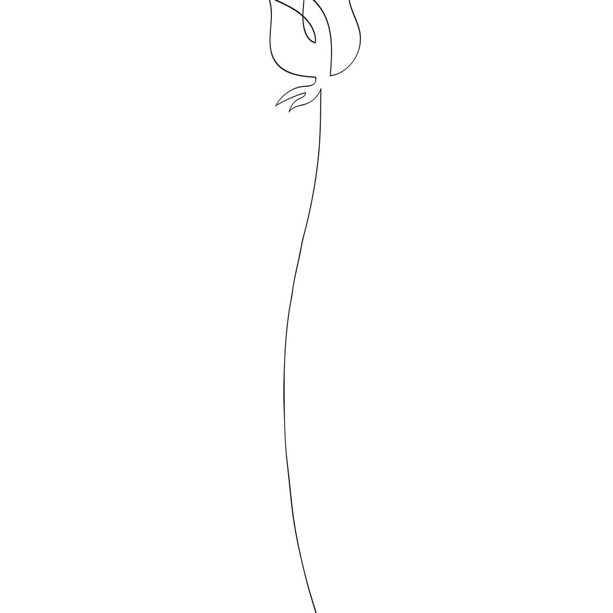 Affiche Bouton de rose Croquis Affiche + cadre en bois - Noir