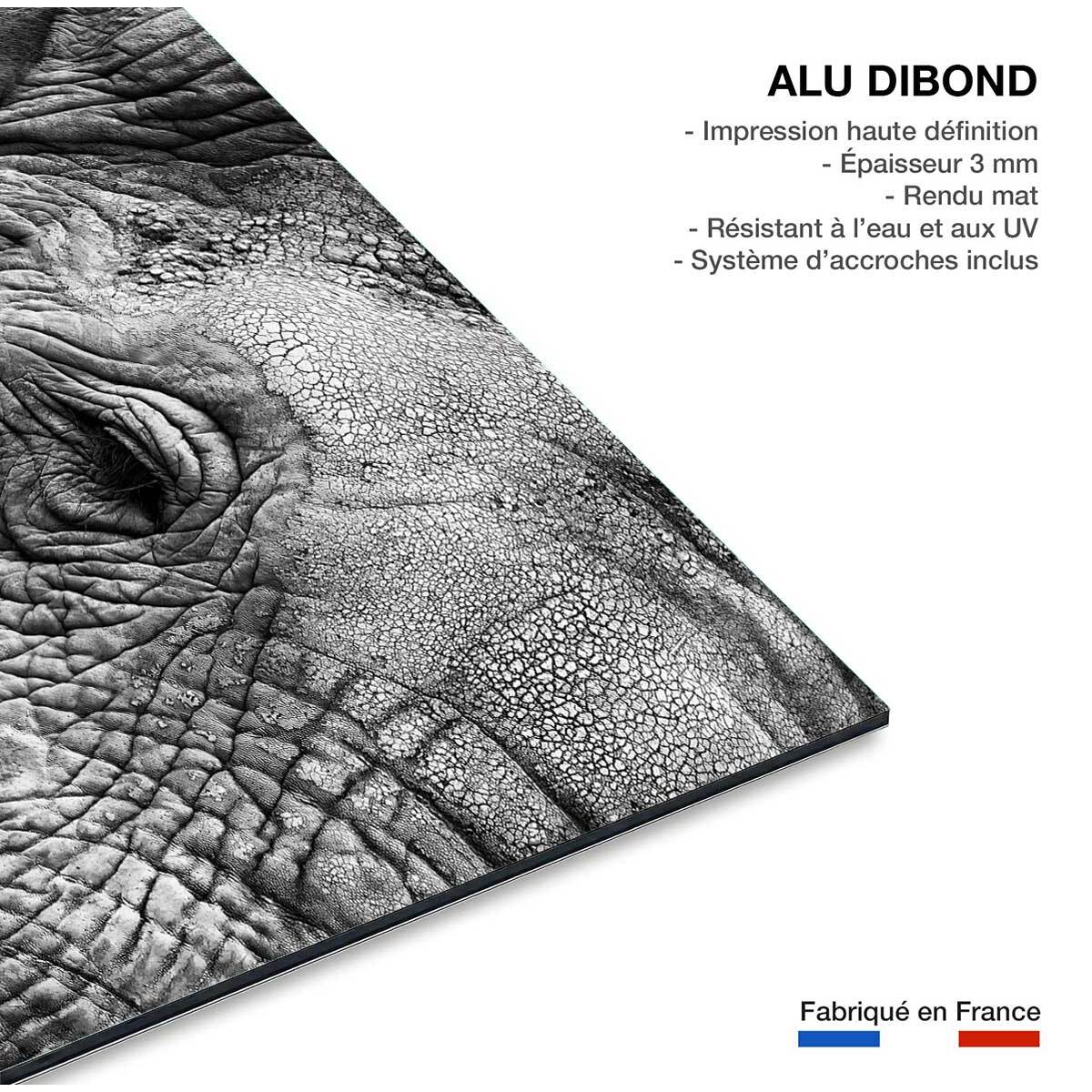 Tableau animaux Peau d'éléphant Tableau alu Dibond