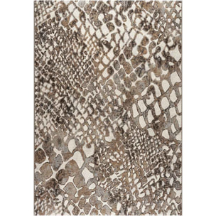 Tappeto Disegno Animalier Multicolore