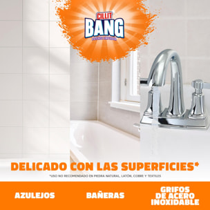 CILLIT BANG - SPRAY LIMPIADOR CAL Y SUCIEDAD, INTERIOR Y EXTERIOR - 1 L