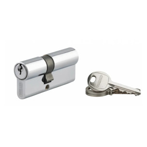 Cylindre de serrure à clé crantée Ecopro nickelé - 30 x 40 - Varié - THIRARD - 00007278