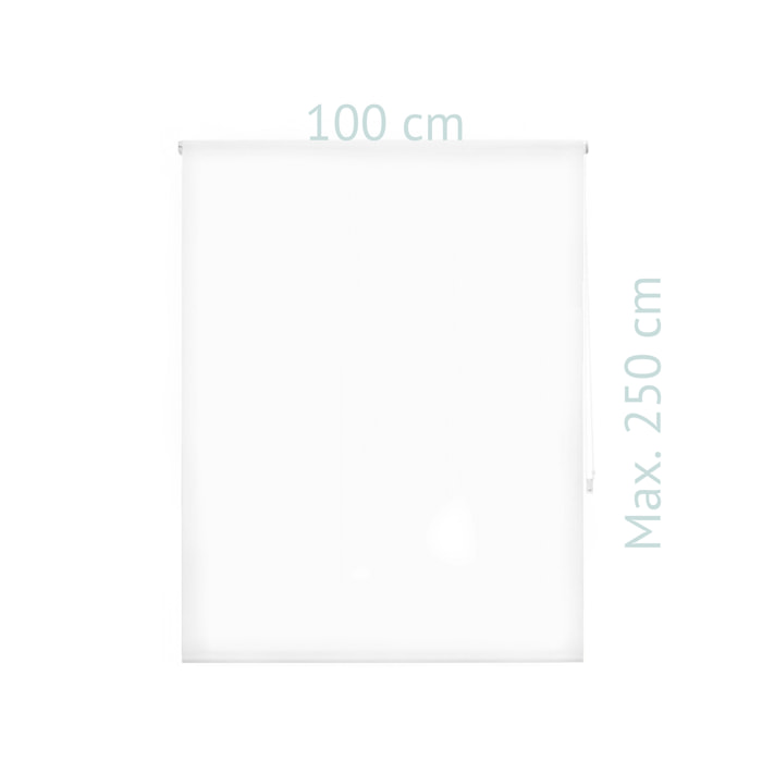 Store enrouleur Polyester Translucide Beige 120 x 250