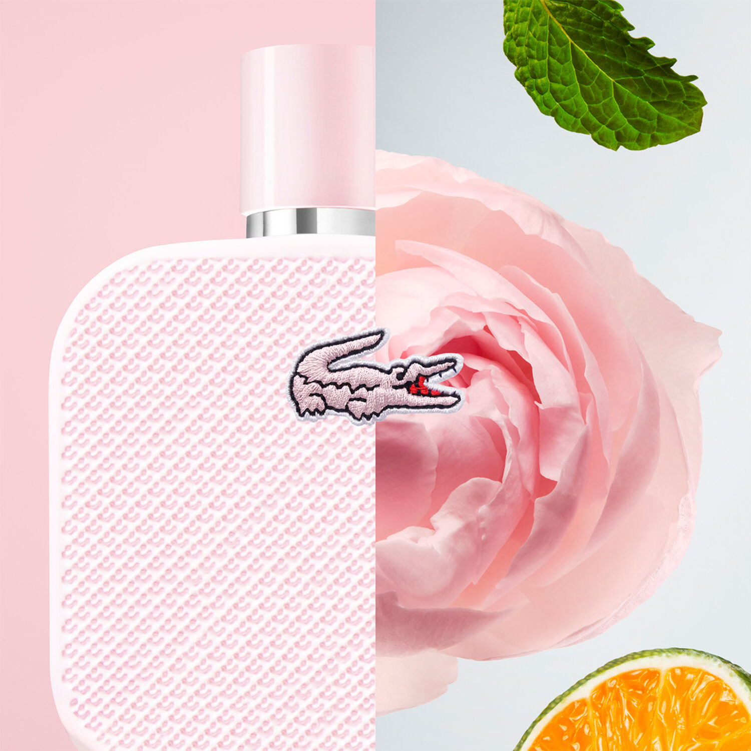 L.12.12 Rose - Eau de Parfum