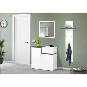 Scarpiera moderna, Made in Italy, a 2 ante e 1 anta a ribalta, Portascarpe da ingresso, Mobile multiuso, cm 80x40h80, colore Bianco lucido e Grigio Ardesia