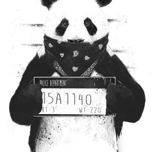 Affiche enfant panda  Affiche sous cadre bois