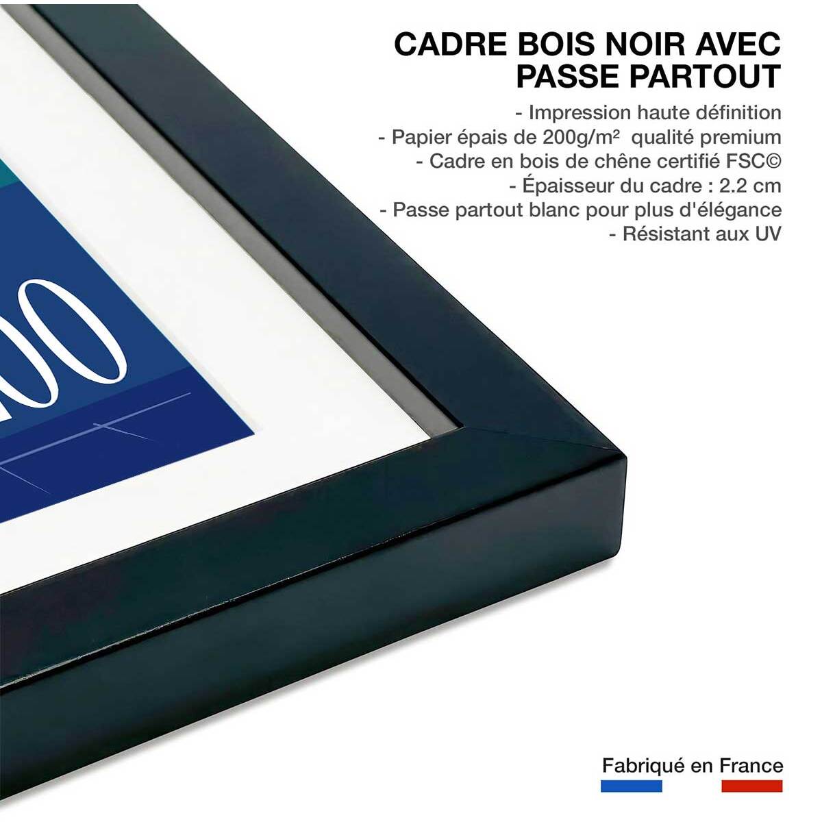 Poster retro bronx zoo Affiche + cadre en bois - Noir