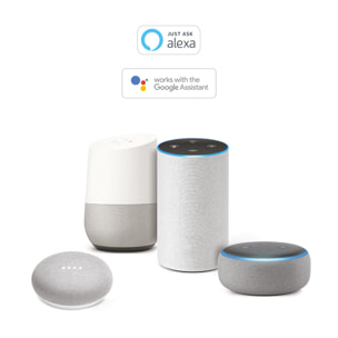 Motorisation connectée à bras articulés portail à battants - Orane Connect - Avidsen - 114202