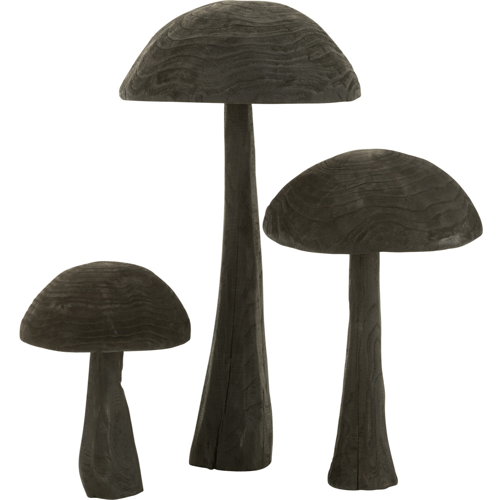 J-Line Champignon En Bois Noir Large