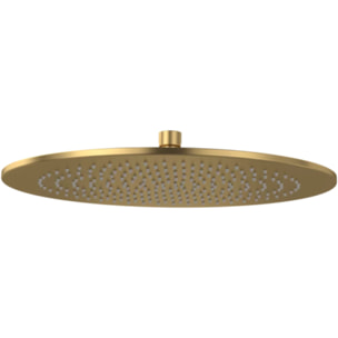 Douche de tête 350 Universal ronde Or brossé