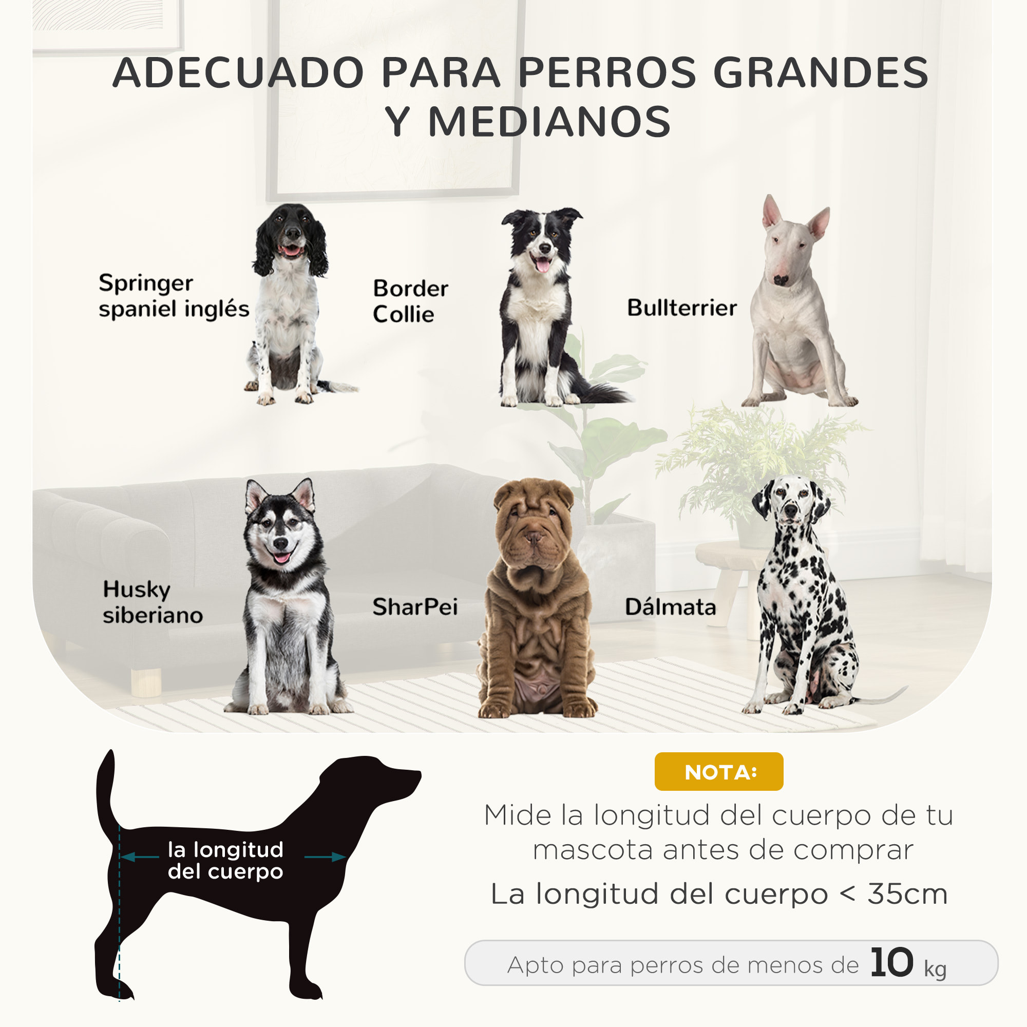 Sofá para Perros Grandes y Medianos, 100x62x32 cm, Cama Elevada para Perros, Tapizada en Chenilla, con Cojín Lavable y Patas de Madera de Pino, Gris Oscuro