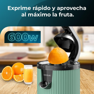 Spremiagrumi elettrici a pressione Xqueeze RetroJuice 600 Green Cecotec