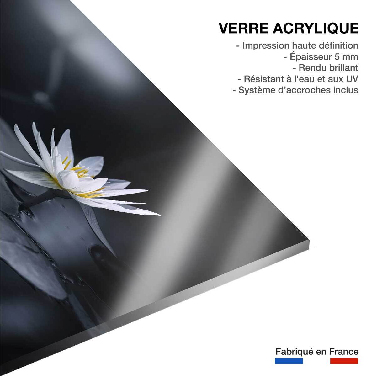 Tableau fleurs Alba nénuphar Tableau plexiglas