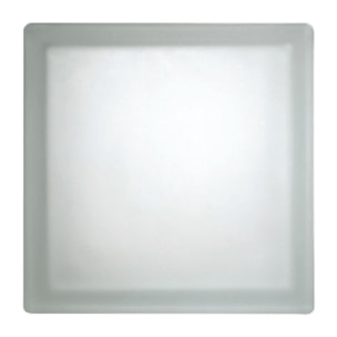Luxfera brique de verre 19x19x8 cm, translucide mat (CL1908CM)