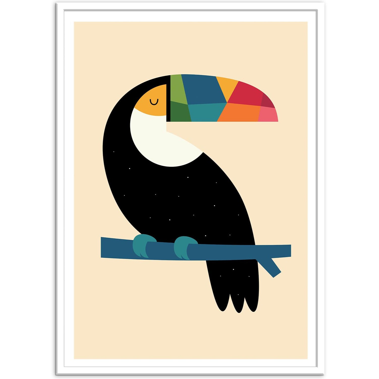 Affiche - Rainbow Toucan - Andy Westface