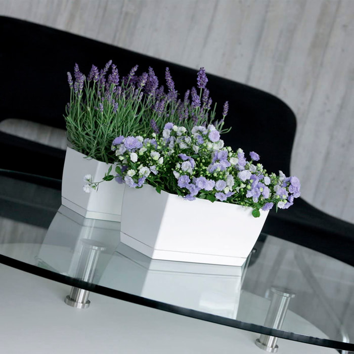 2x jardinera de plastico coubi case p en color blanco 29 (largo) x 14,2 (ancho) x 13,6 (altura) cm
