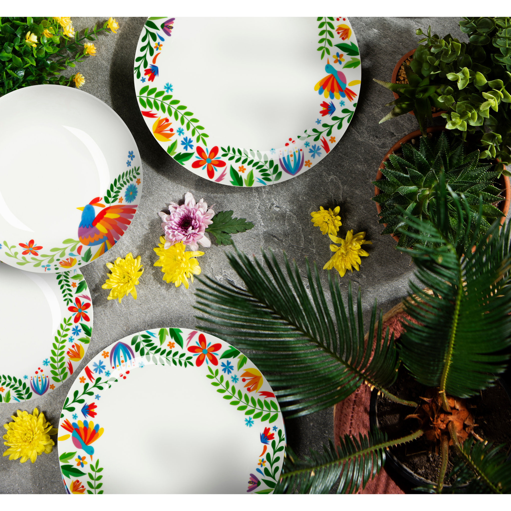 Servizio piatti 12 pezzi Excelsa – Fiesta, Porcellana Multicolore