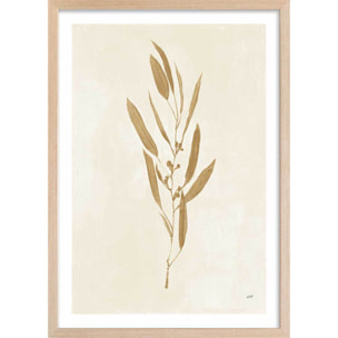 Affiche fleurs Recolte d'or Mina Affiche + cadre en bois - Chêne