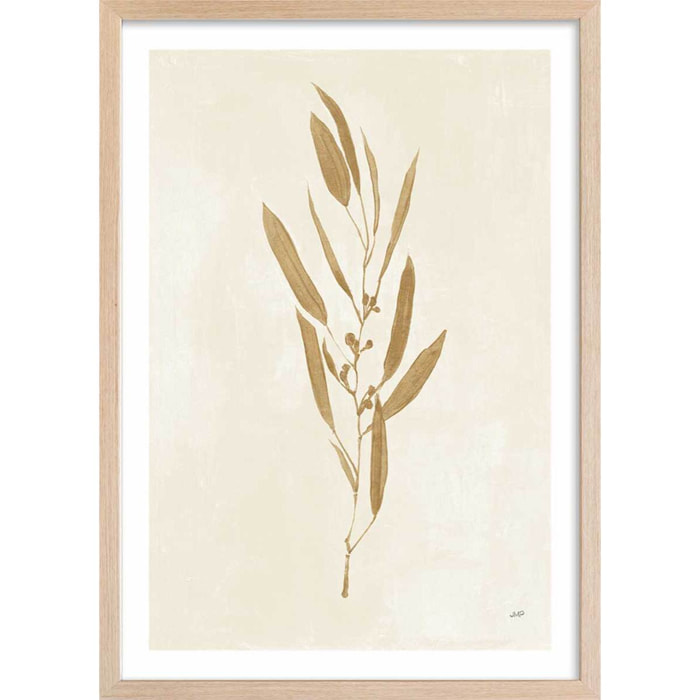 Affiche fleurs Recolte d'or Mina Affiche + cadre en bois - Chêne