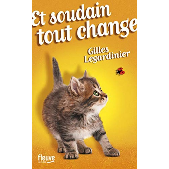 Legardinier, Gilles | Et soudain tout change | Livre d'occasion