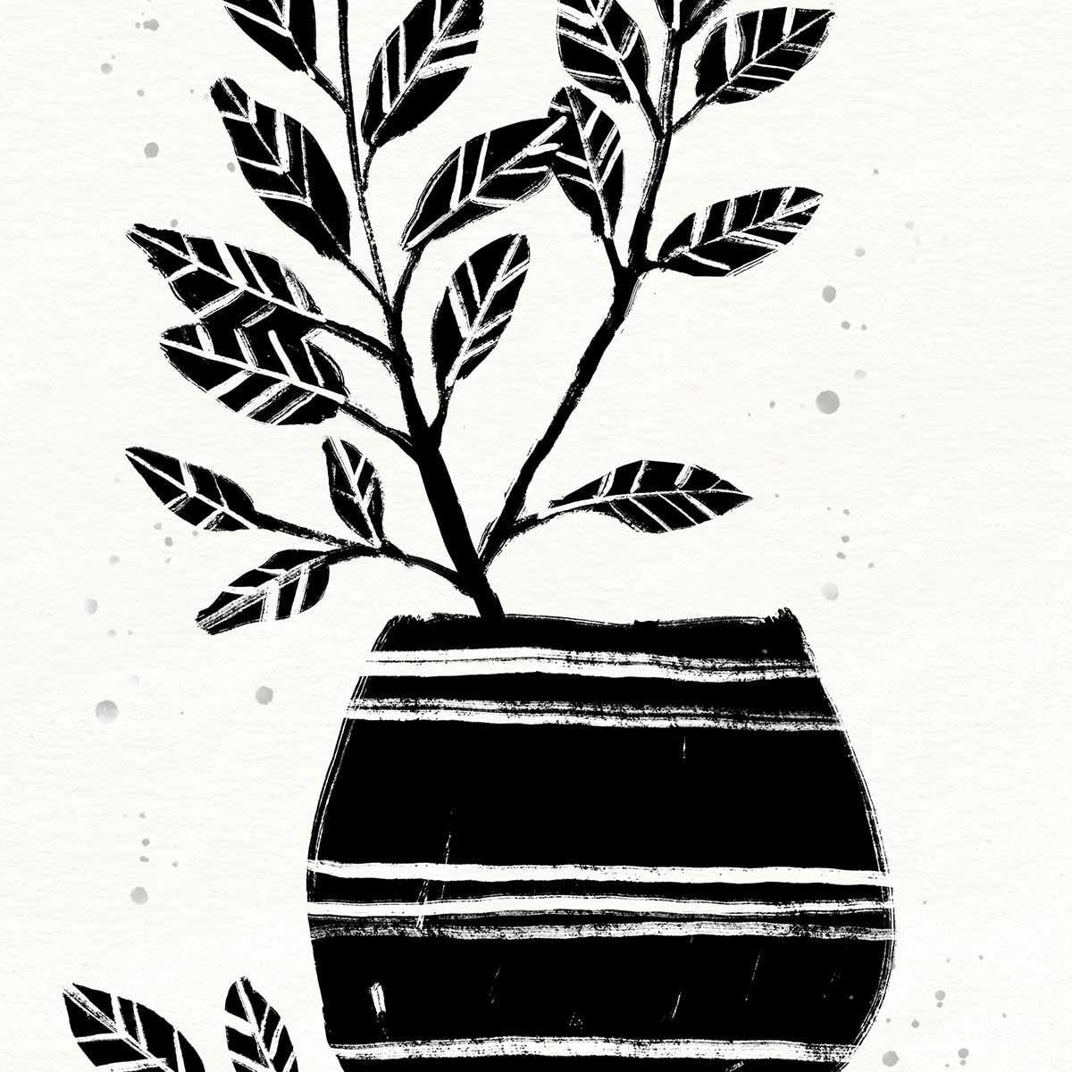 Illustration Poterie et botanique Affiche sous cadre noir
