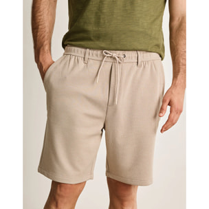 Bermuda Arena - Player