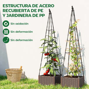 Jardinera con Enrejado Metálico, Jardinera Exterior para Plantas Trepadoras, Maceta de PP con Orificios de Drenaje y Tapones, Macetero Elevado para Jardín, Patio, 40x40x175 cm, Negro